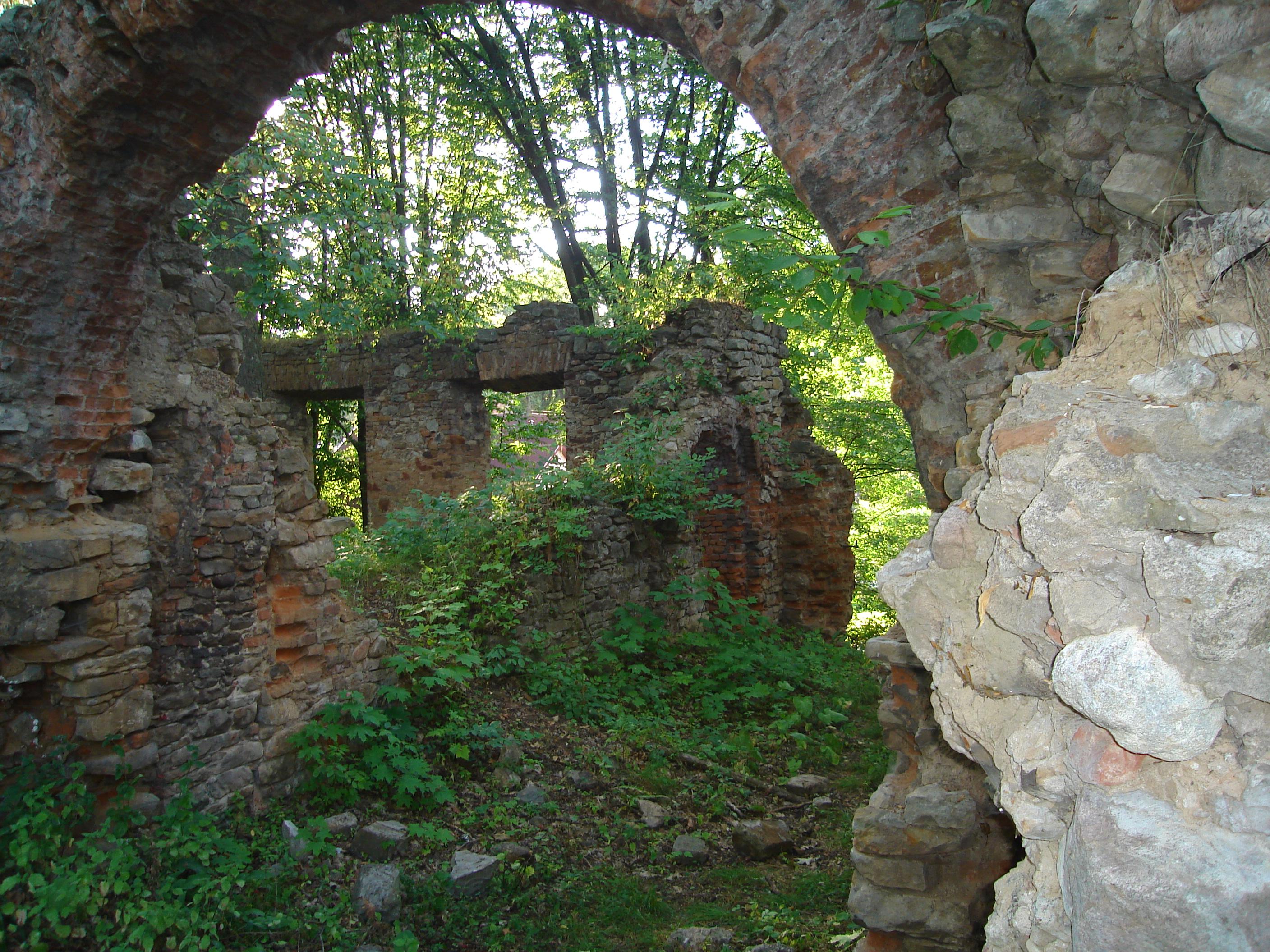 Ruina dworu obronnego